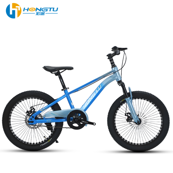 HongTu Wholesale Adult Mountain Bicycles with Alloy Material and Disc Brakes - Sports Series 20BJK254 - Image 8