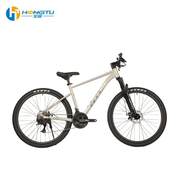 HONG TU New 26-inch disc brake shock-absorbing student mountain bike BT501